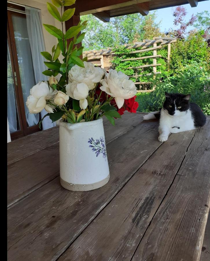 Gatti Di Langa Villa Dogliani Eksteriør bilde